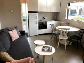 Adorable one bedroom apartment with free parking.